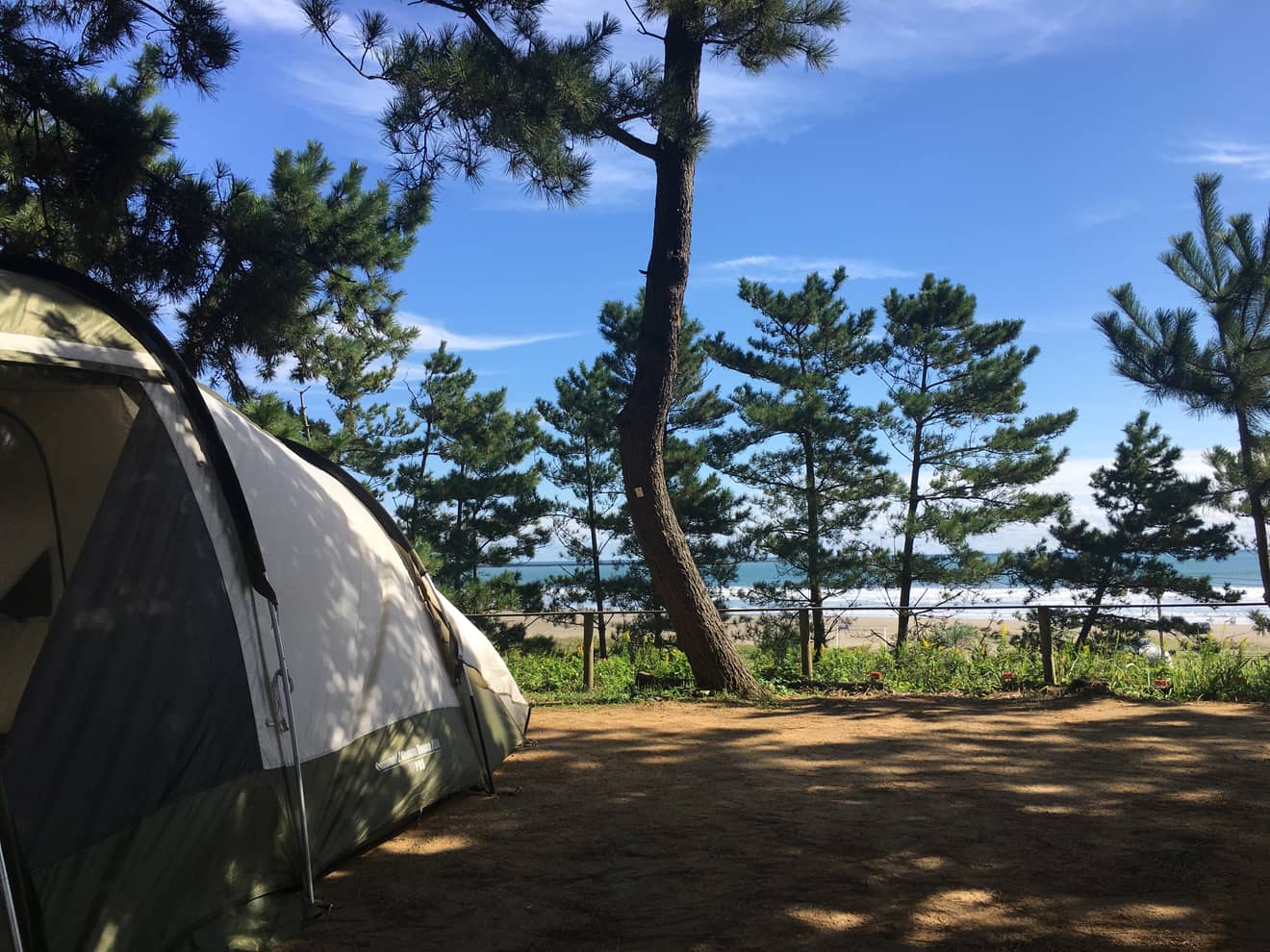 大洗サンビーチキャンプ場 茨城県のキャンプ場 いばらきキャンプ